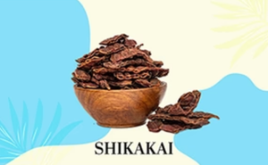 SHIKAKAI